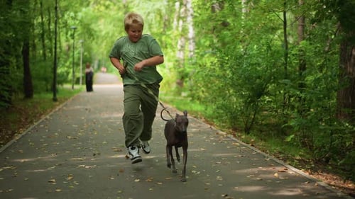 Boy Walks Dog Child Strolling With Pet Outdoors Young Boy And Dog Enjoying Nature Walk Youngster On
