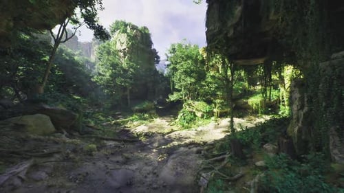 Radiant Hillside Trail Ascends Toward Expansive and Inspirational Mountain Views