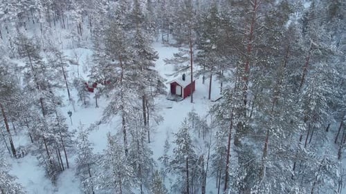 Winter Spruce Forest With Isolated Cabin Woods. Aerial Drone Shot