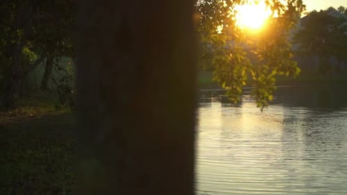 A beautiful and peaceful sunset in a city park
