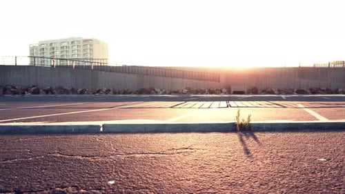 Empty Beach Car Park Spaces Covered in Asphalt