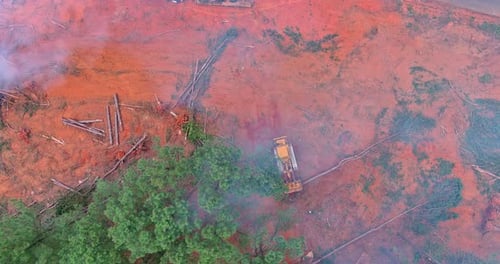 In Order to Prepare Land for Building Homes It is Necessary to Destroy Forests and Burn Uprooted