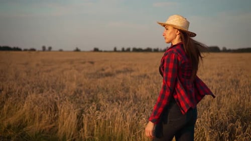 Farmer Woman in Straw Hat Walking in Golden Wheat Field and Examining Grain Crops