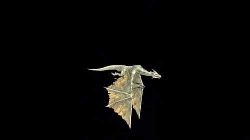 Flying Dragon Fly Idle