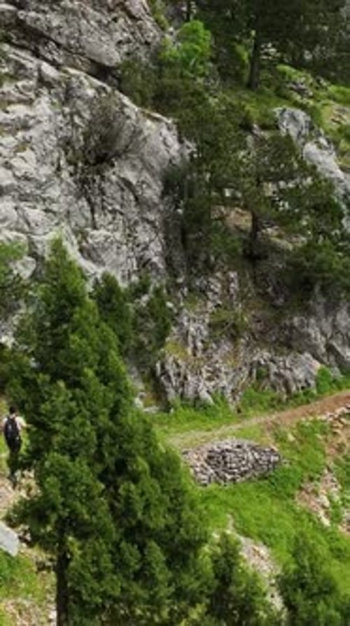 Vertical Video Exploring the Green Forest Travelers on a Mountain Adventure