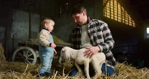 Man and Child with Lamb in Rustic Barn