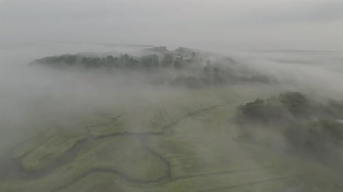 Aerial view of marshland and trees, United States.