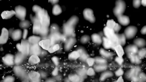 Super Slow Motion Falling Sea Salt Filmed on a Highspeed Camera at 1000 Fps