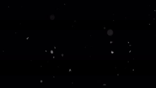 Snow Falling On A Black Background