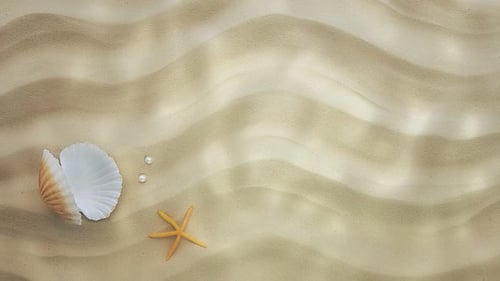 Shells and Starfish on Sand with Gentle Water Reflections