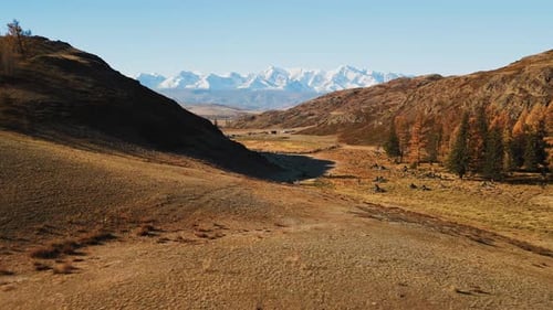 Stunning Autumn Landscape in the Mountains with Golden Trees and Blue Sky