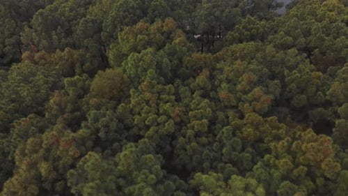 Wide view of Ho Thuy Tien abandoned water park Vietnam with dragon structure, aerial