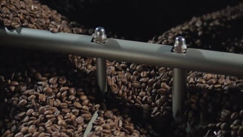 Roasted Coffee Beans in Industrial Machine