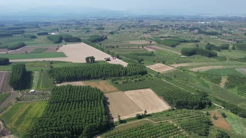 Agricultural Regular Lands