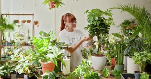 Woman Waters Plants in Indoor Garden Setting