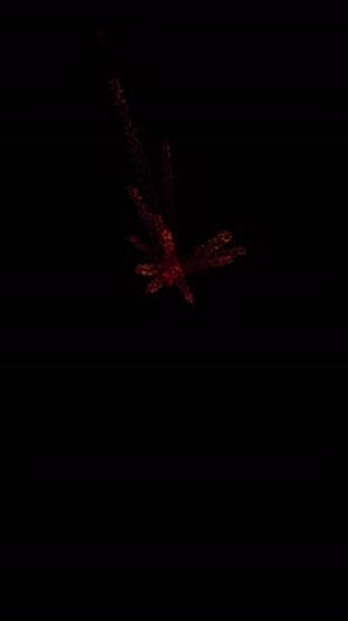 Fluid Particle Glow Reveal Transition