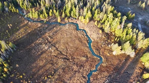 Aerial drone shot of a winding blue stream snaking through dried marshland and bordered by dense eve
