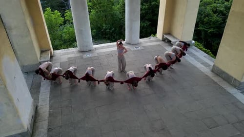 Grupo de baile profesional Interpretive Dance Connection Temple