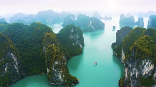 Esplendor Cinemático: La impresionante extravagancia visual de la naturaleza