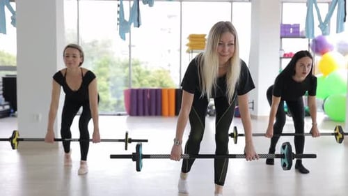 Active Women Squat with Dumbbells During a Workout in the Gym Group of Women Doing Sports