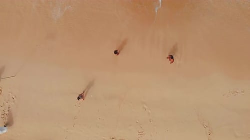 Top Aerial View on Sandy Ocean Shore with Resting Tourists and Beach Umbrellas Turquoise Water in