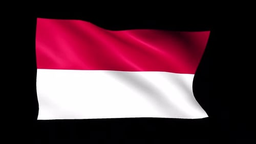 Realistic Waving Flag of Monaco or Indonesia Loop