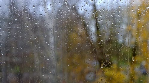Rainy day in autumn, heavy rain falling on window surface, waterdrops running down, trees outside
