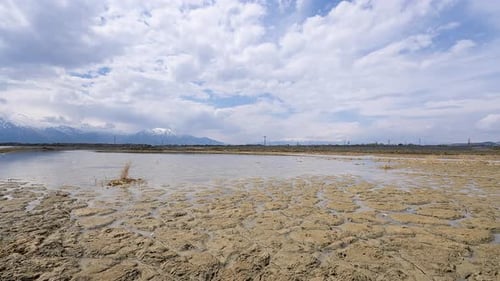Rural Marsh Landscape with Distant Mountains