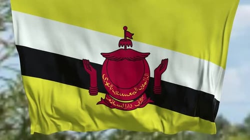 Brunei Flag Waving with Realistic Fabric Motion