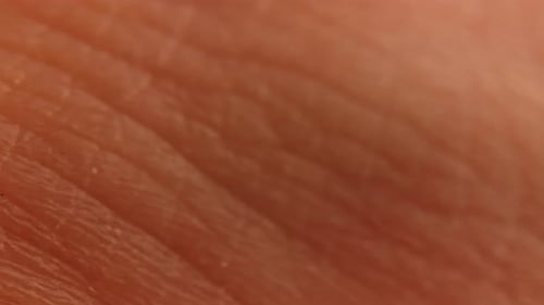 Close-Up Macro Shot of Human Skin Texture