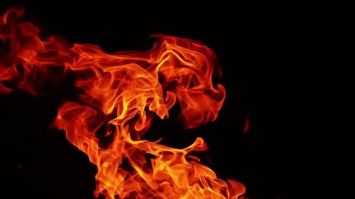 Dangerous flames of red hot fire rising into the air. Close up view of blaze in the darkness.