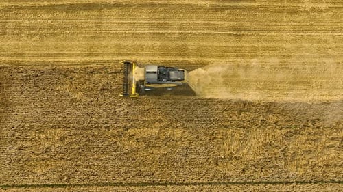 Aerial view of a combine harvester working in a wheat field, agricultural in operation.