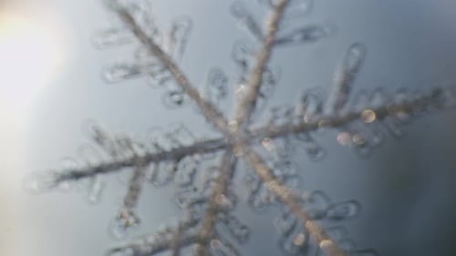 Snowflake ice crystals stellar dendrites under microscope macro large magnification close up