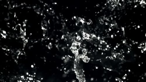 Water Splashes and Drops on a Black Background