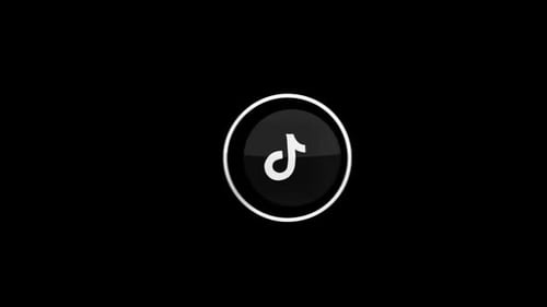 Minimalist TikTok Logo Reveal Animation