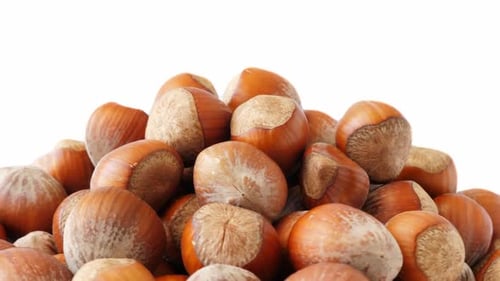 Pile of Hazelnuts Close Up