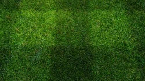 Green Grass On Sport Ground 01 HD