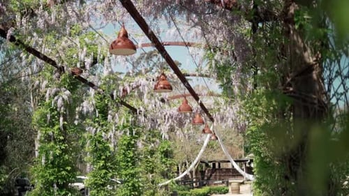 Beautiful Archway Decorated For An Outdoor Garden Wedding - low angle shot