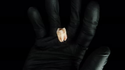 Gloved Hand in Black Catches a Bloodied Tooth, Top View Slow Motion.