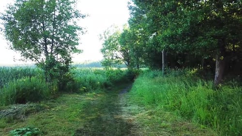 Nature Of Orekhovskoye Lake 27