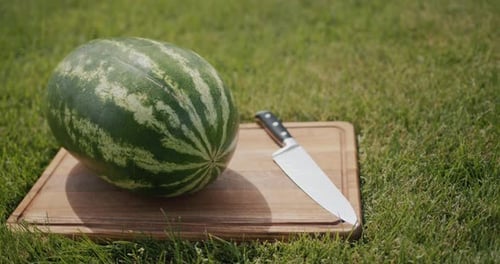 Watermelon on Cutting Board with Knife in Grass