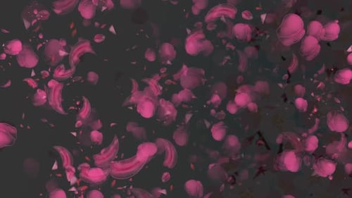 Animiertes Blumenhintergrunddesign mit roter Rose