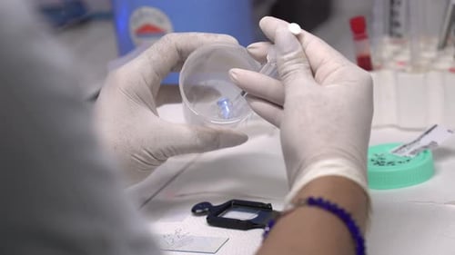 Medical Professional Analyzing Sample with Syringe