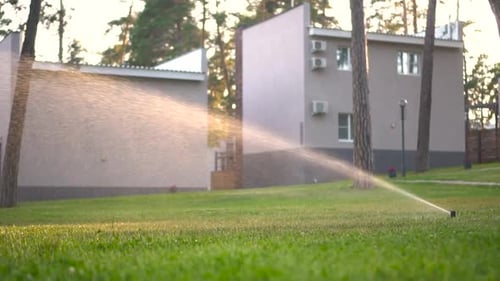 Automatische Rasenbewässerung bei Sonnenuntergang Bewässerung des Rasens bei Sonnenuntergang Zeitlupe