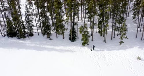 Randonnée sur neige dans les montagnes Rocheuses
