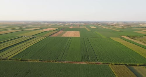 Aerial View of Vast Agricultural Fields