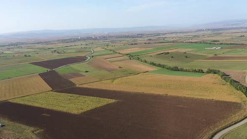 Aerial View of a Hay Field, Wheat Field. Beautiful Agriculture Landscape by Drone