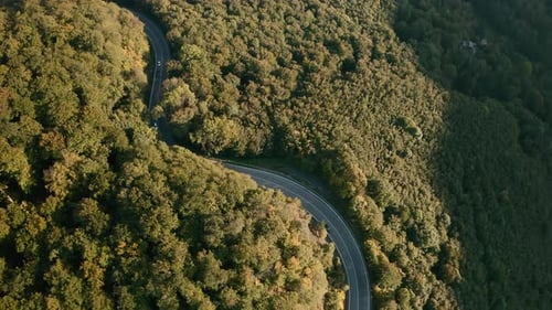 Aerial tilt down drone shot of cars driving on a winding mountain road in the middle of a forest.