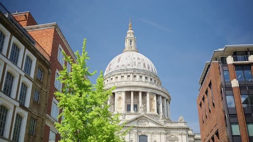 The Dome of St. Paul's Cathedral rising above the trees with a clear blue sky in the background in L