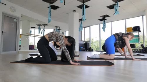 Two Women are Stretching on Yoga Mats in a Gym